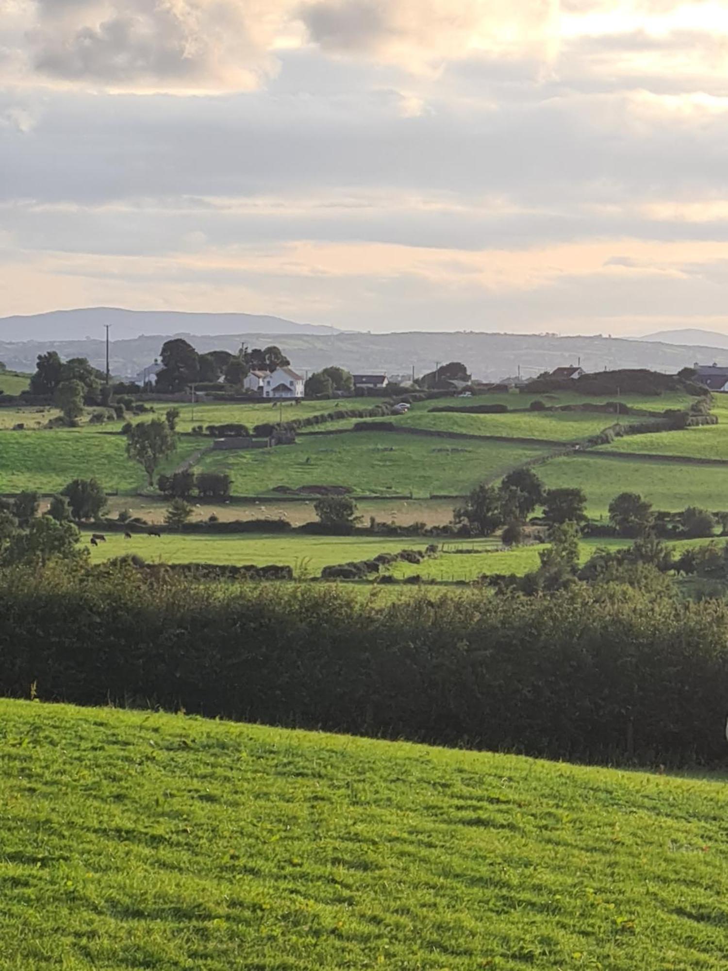 Appartamento The Aul Shop & Public House -Entire Private Annexe Kilcoo Esterno foto